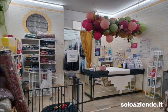 Affitto Attivita' artigianali alimentari e non LAVANDERIA ARTIGIANALE a Rovigo (RO)